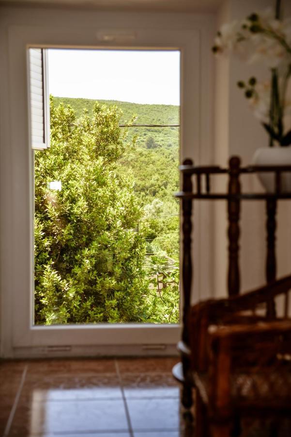 Apartment Nikola Kotor Bagian luar foto