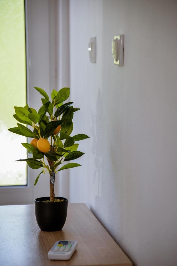 Apartment Nikola Kotor Bagian luar foto